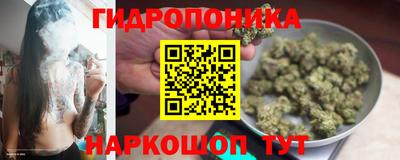 дурь Бийск
