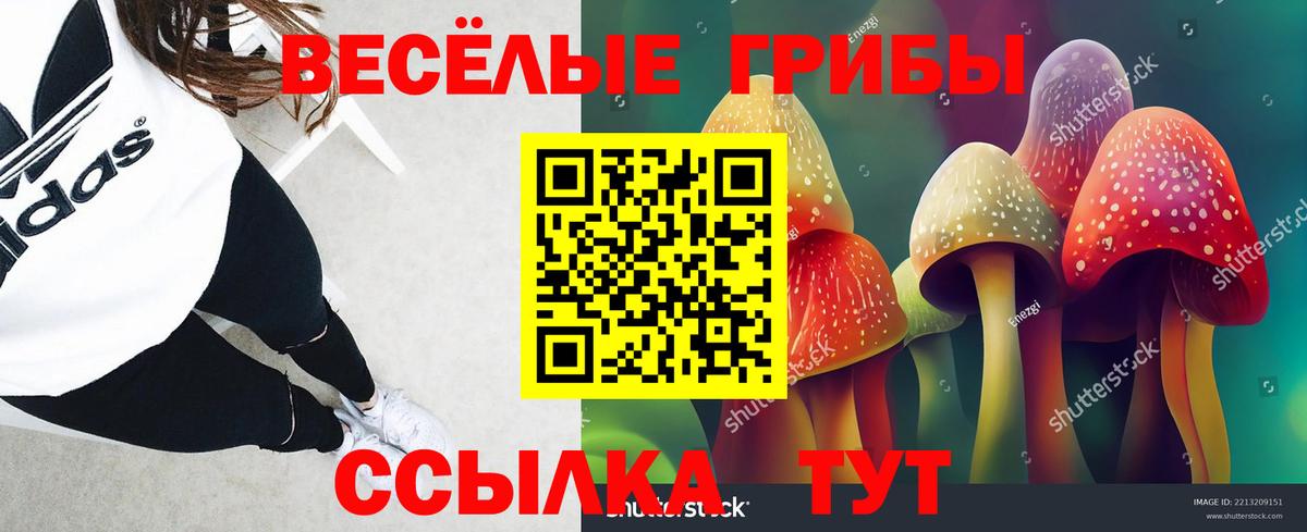 Каспийск  Галлюциногенные грибы Cubensis  Вход с VPN 
